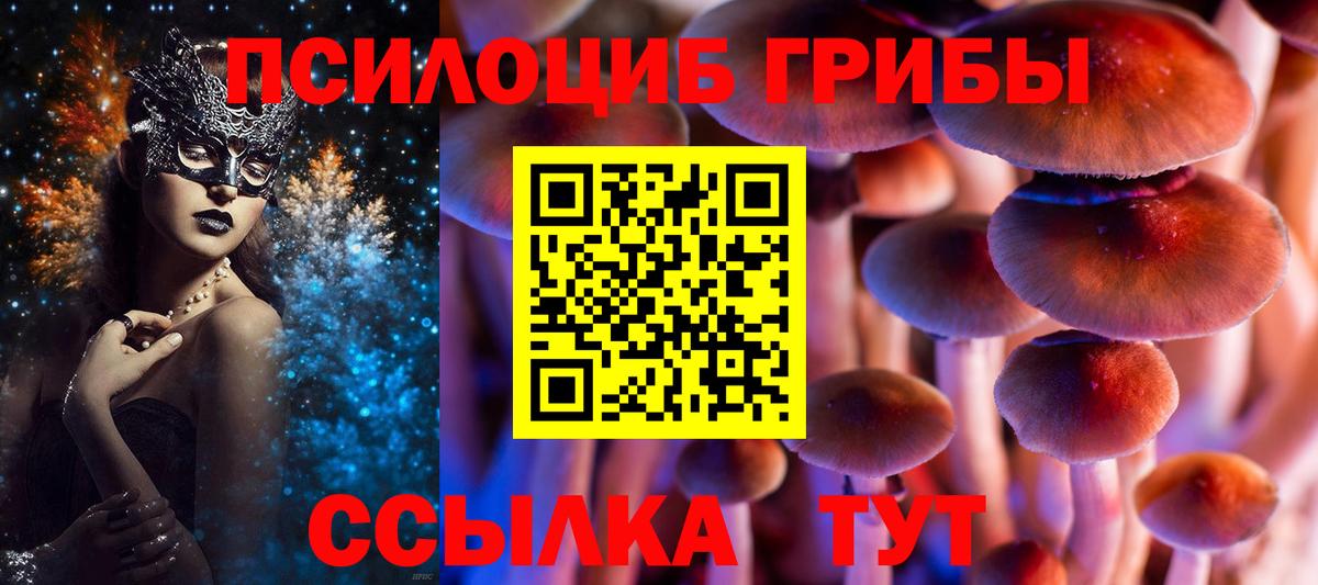 Псилоцибиновые грибы Magic Shrooms Малгобек