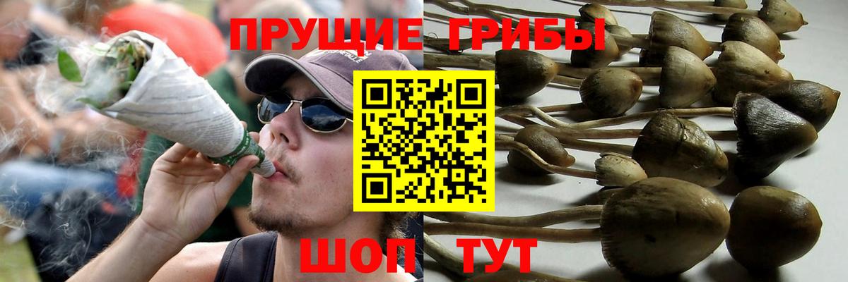 Малгобек  Псилоцибиновые грибы мухоморы  Вход с VPN  Псилоцибиновые грибы прущие грибы 